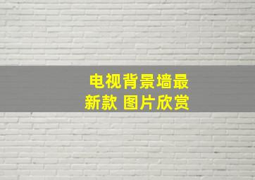 电视背景墙最新款 图片欣赏